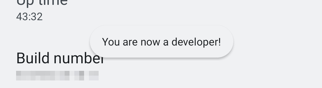 Popup says "You are now a developer"