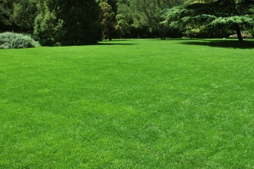 I'm a Gardening Pro - How to Get a Super Green Lawn Using Cheap Kitchen Supplies