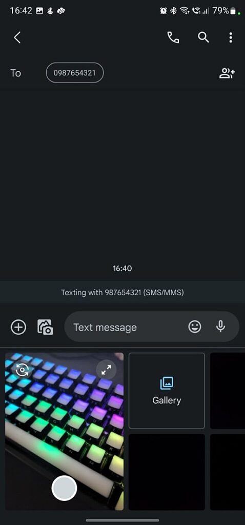 Google Messages attachment viewfinder screenshot