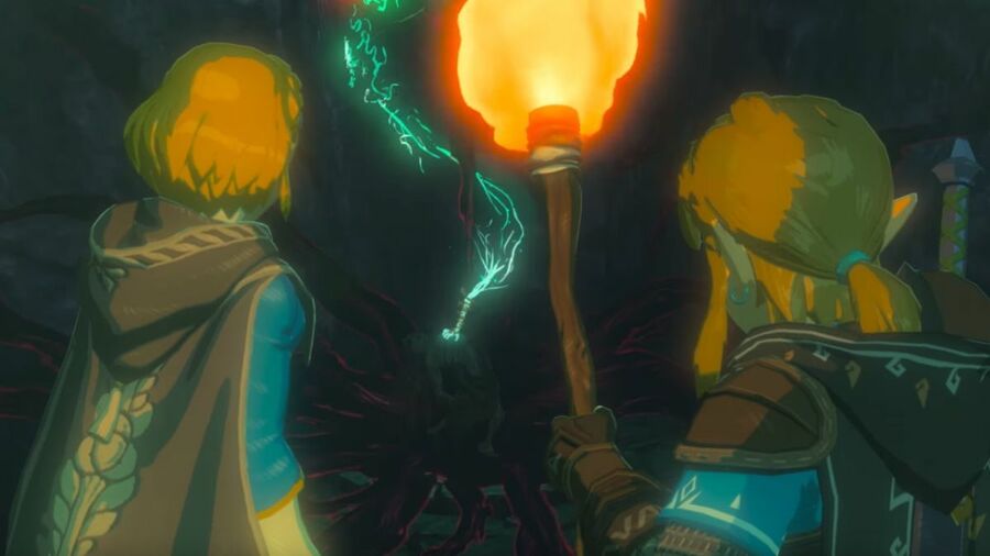 Breath of the Wild 2 Link and Zelda With A Torch